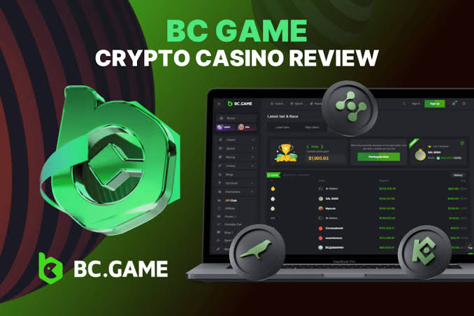 BC.Game Plinko Game Review Exciting Fun and Strategy Combined